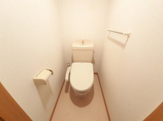 落ち着いた色調のトイレです