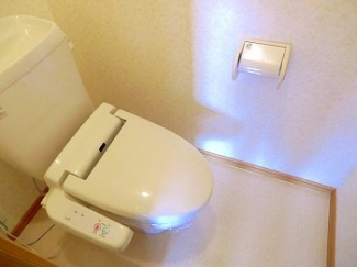 清潔感のあるトイレです