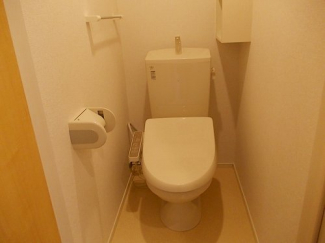 落ち着いた色調のトイレです