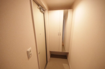 落ち着いた玄関です