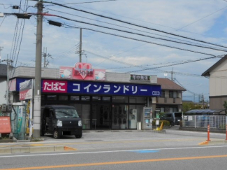 ホワイト急便様まで170m