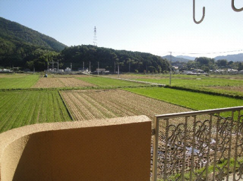 【展望】