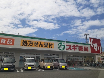 スギ薬局持子店まで750m