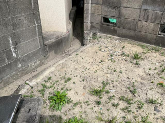西側境界付近