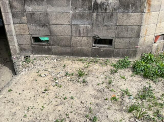 北東境界付近