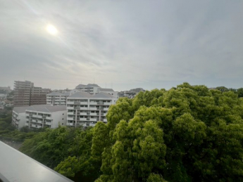 【展望】
