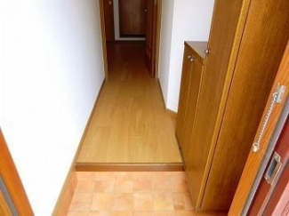 落ち着いた玄関です