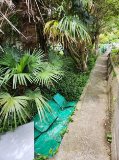 松山市新浜町の売地の画像
