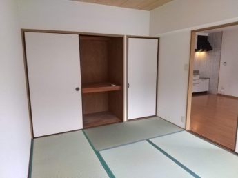 ミレニアムの画像