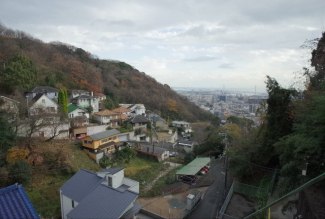 【展望】