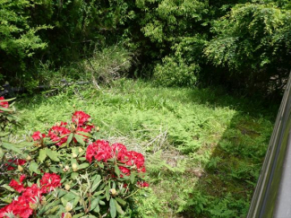 兵庫県神崎郡市川町奥の画像