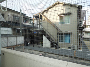 【展望】