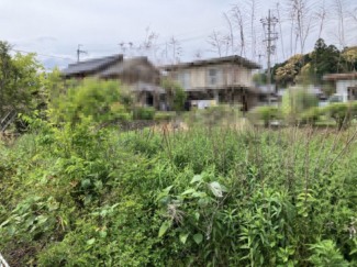 2025年05月　撮影