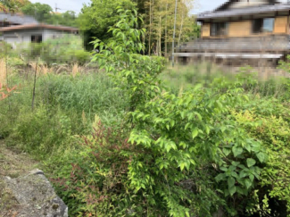 2025年05月　撮影
