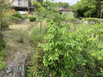 2025年05月　撮影