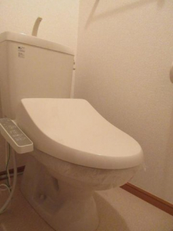 落ち着いた色調のトイレです