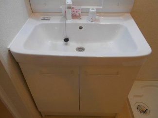 忙しい朝には欠かせない洗面所です