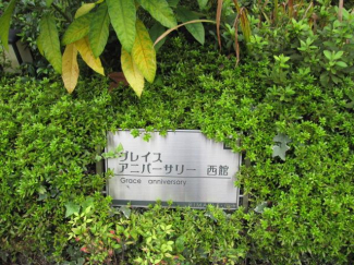 【その他】