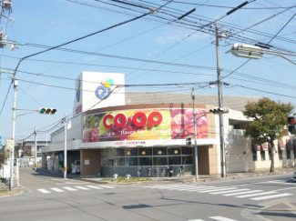 コープ金子まで489m
