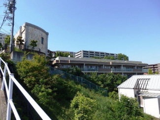 外観もきれいです