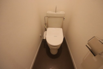 落ち着いた色調のトイレです