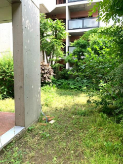 シャトレ甲南（住吉本町３丁目）の画像