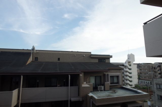 【展望】