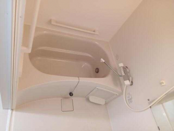 ＭＡＩＳＯＮＡＫＡＳＨＩの画像