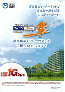 ＭＡＩＳＯＮＡＫＡＳＨＩの画像