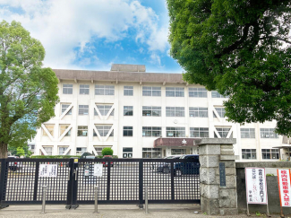 新居浜市立中萩小学校まで1276m