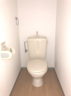 清潔感のあるトイレです