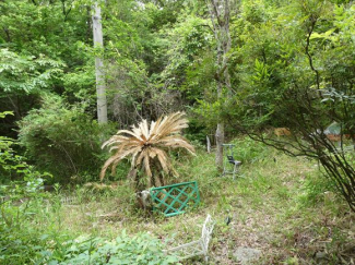 兵庫県加東市黒谷の画像