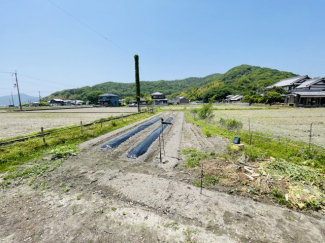 畑です。