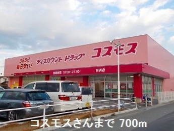 コスモスまで700m