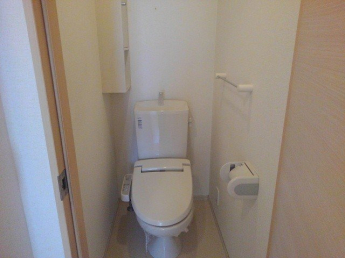 落ち着いた色調のトイレです
