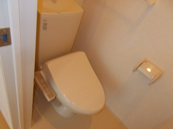 落ち着いた色調のトイレです