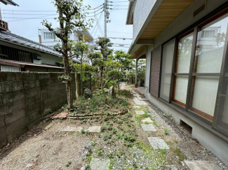 庭部分２