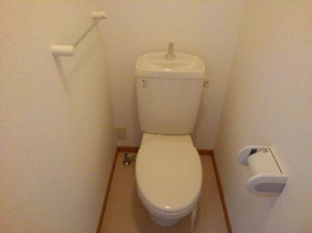 落ち着いた色調のトイレです