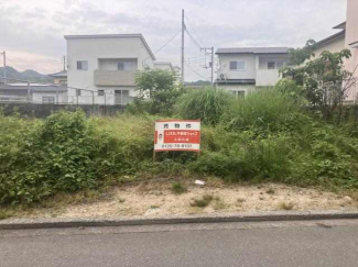 南側