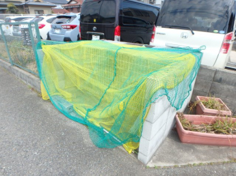 ゴミステーションです