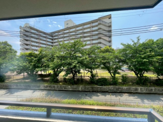 【展望】