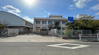松山市立椿小学校まで659m
