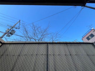 【展望】