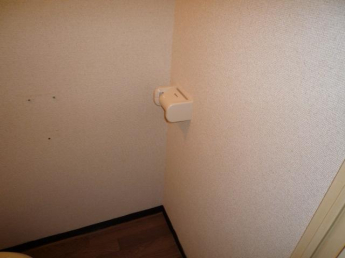 落ち着いたトイレです