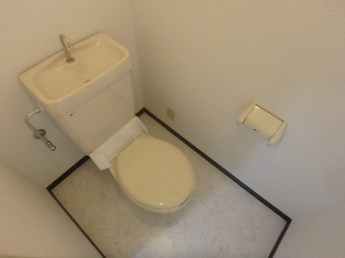 落ち着いた色調のトイレです