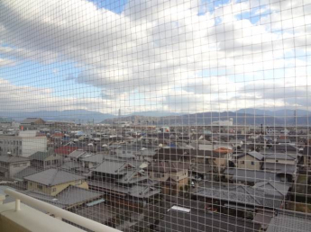 【その他】