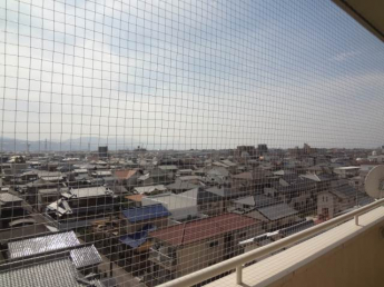【その他】