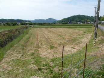 兵庫県丹波篠山市瀬利の画像