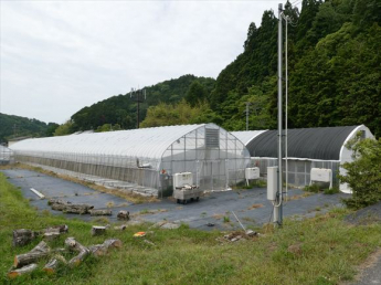 兵庫県丹波篠山市瀬利の画像