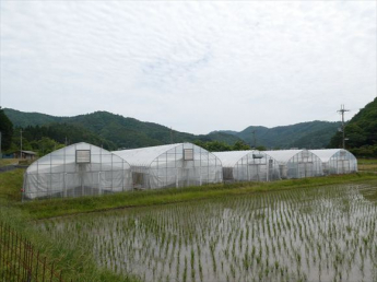 兵庫県丹波篠山市瀬利の画像